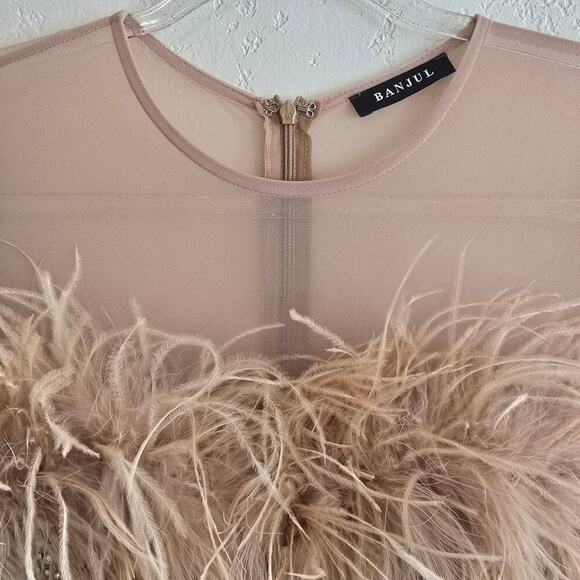 NWT Mesh Embellished Feather Bodycon MINI Dress Sz small - Picture 6 of 8